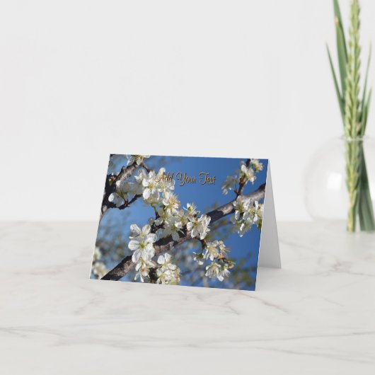 春に白い花を咲かせた梅の枝 カード (正面)