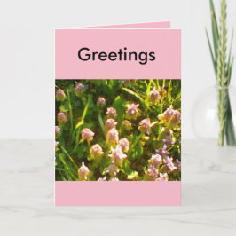 春のご挨拶、お気に入り カード