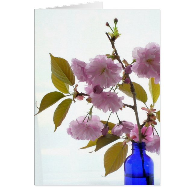 春のさくらんぼ (正面)