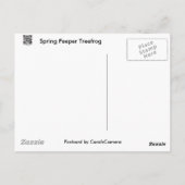 春ののぞき(偽名の十字架)ツリーフロッグのアイテム ポストカード (裏面)