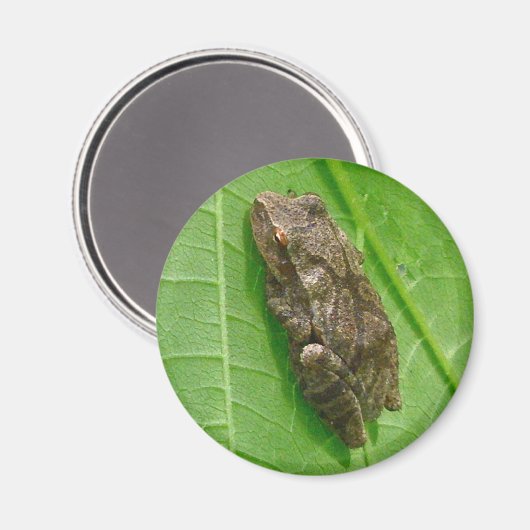 春ののぞき（偽名の十字架）ツリーフロッグのアイテム マグネット (正面/裏面)