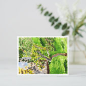 春のはがき ポストカード (スタンド正面)