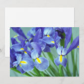春のアイリス花の写真招待状 招待状 (正面/裏面)