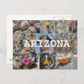 春のアリゾナポストカード ポストカード (正面/裏面)