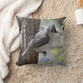 春のエボシガラ クッション (ブランケット)