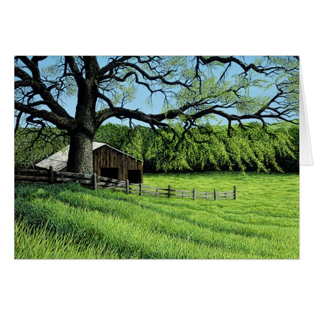 春のカシ (正面横)