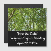 春のキャノピ葉ーグリーン自然シーン (正面/裏面)