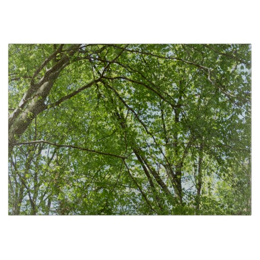 春のキャノピ葉ーグリーン自然シーン カッティングボード (正面)