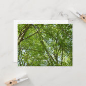 春のキャノピ葉ーグリーン自然シーン カード (正面/裏面インサイチュ)
