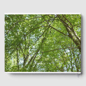 春のキャノピ葉ーグリーン自然シーン ゲストブック (裏面)