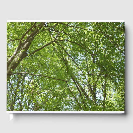 春のキャノピ葉ーグリーン自然シーン ゲストブック (正面)