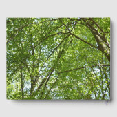 春のキャノピ葉ーグリーン自然シーン ゲストブック (裏面)