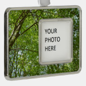春のキャノピ葉ーグリーン自然シーン シルバープレートフレームオーナメント (右)