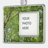 春のキャノピ葉ーグリーン自然シーン シルバープレートフレームオーナメント (左)