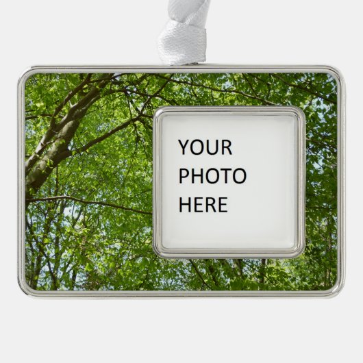 春のキャノピ葉ーグリーン自然シーン シルバープレートフレームオーナメント (正面)