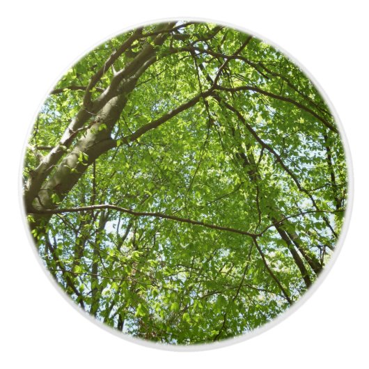 春のキャノピ葉ーグリーン自然シーン セラミックノブ (正面)