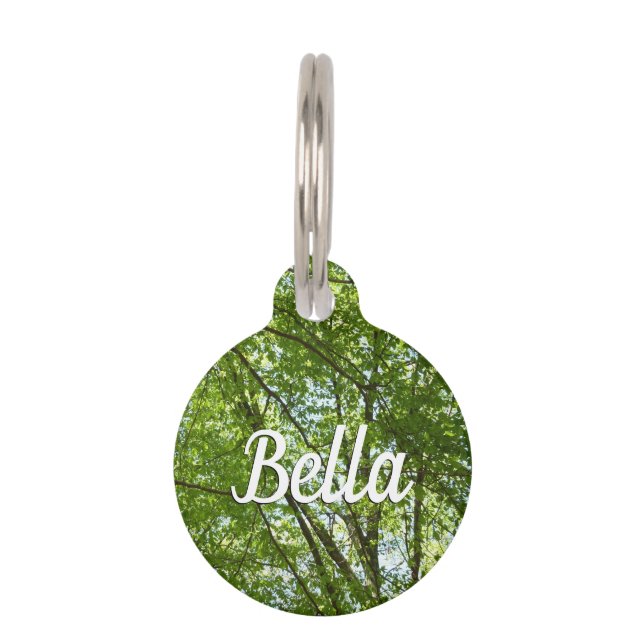 春のキャノピ葉ーグリーン自然シーン ペット　ネームタグ (正面)