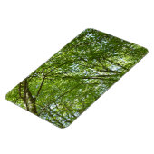 春のキャノピ葉ーグリーン自然シーン マグネット (左側)