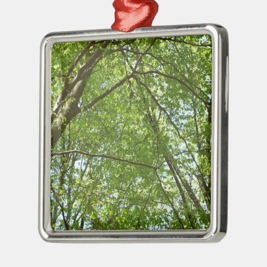 春のキャノピ葉ーグリーン自然シーン メタルオーナメント (左)