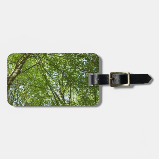 春のキャノピ葉ーグリーン自然シーン ラゲッジタグ (正面横)