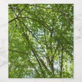 春のキャノピ葉ーグリーン自然シーン ワインラベル (シングルラベル)