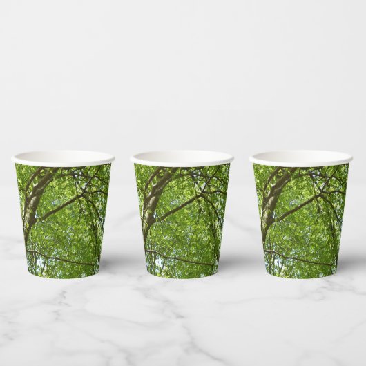 春のキャノピ葉ーグリーン自然シーン 紙コップ (複数)