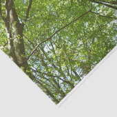 春のキャノピ葉ーグリーン自然シーン 薄葉紙 (詳細)