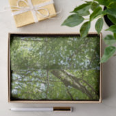 春のキャノピ葉ーグリーン自然シーン 薄葉紙 (ギフト)