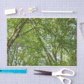 春のキャノピ葉ーグリーン自然シーン 薄葉紙 (クラフト)