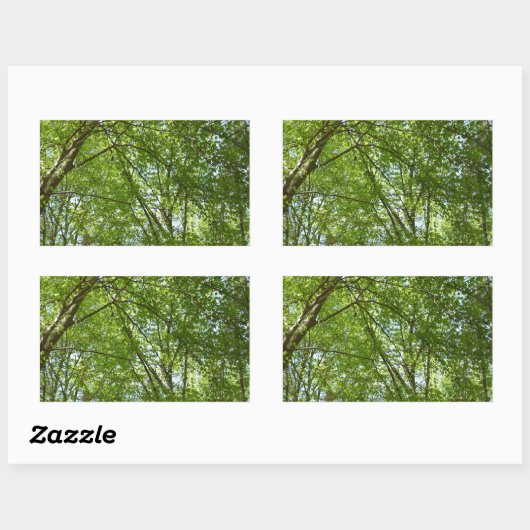 春のキャノピ葉ーグリーン自然シーン 長方形シール (シート)