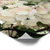 春のクラボルの花が咲き乱れる ポスター (角)