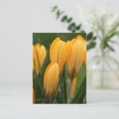 春のクロコス ポストカード (スタンド正面)