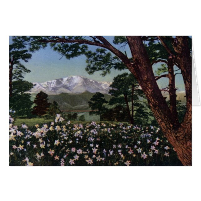 春のコロラドスプリングスコロラド州の穂先のピーク (正面横)