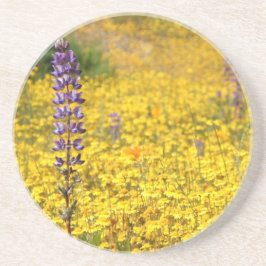 春のコースター コースター