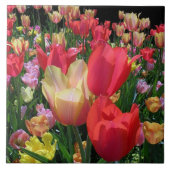 春のチューリップ タイル (正面)