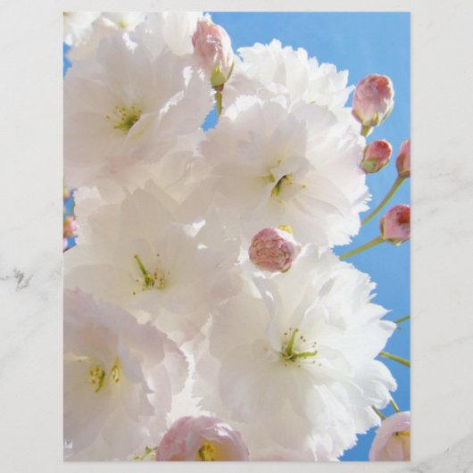 春のチラシ紙 白いピンクのふわふわの木の花 チラシ (正面)