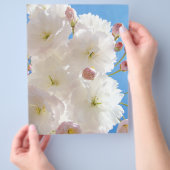 春のチラシ紙 白いピンクのふわふわの木の花 チラシ (手)