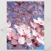 春のチラシ ピンクの木の花 青空 チラシ (裏面)