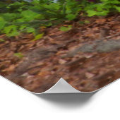 春のツツツツジ ポスター (角)