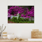 春のツツツツジ ポスター (キッチン)