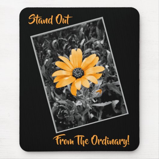 春のデイジーオレンジ色のしぶきの写真 マウスパッド (正面)