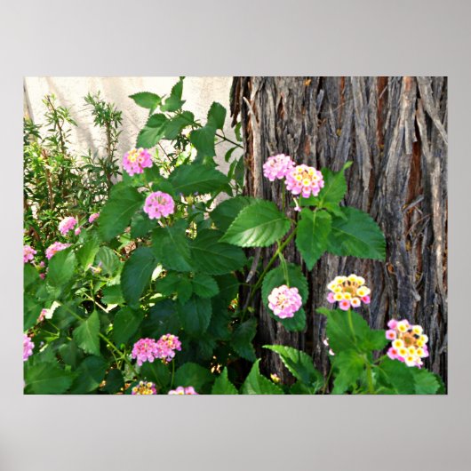 春のデュエット ポスター (正面)