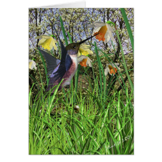 春のハチドリカード