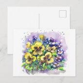 春のパンジー ポストカード (正面/裏面)