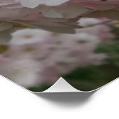 春のピンキーポスター ポスター (コーナー)