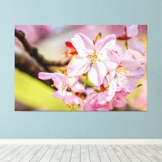 春のピンクのサクラの素敵な花束 キャンバスプリント (インサイチュ (ウッドフロア))