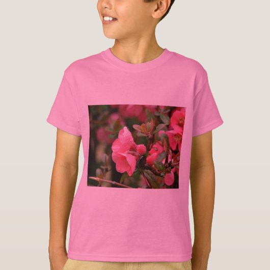 春のピンクのボケの花 Tシャツ (正面)