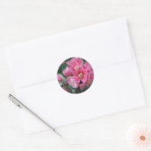 春のピンクの花咲くボケ ラウンドシール (封筒)
