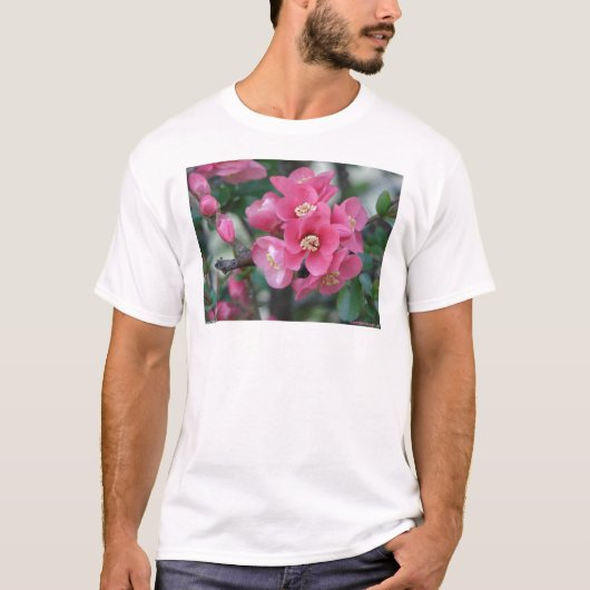 春のピンクの花咲くボケ Tシャツ (正面)