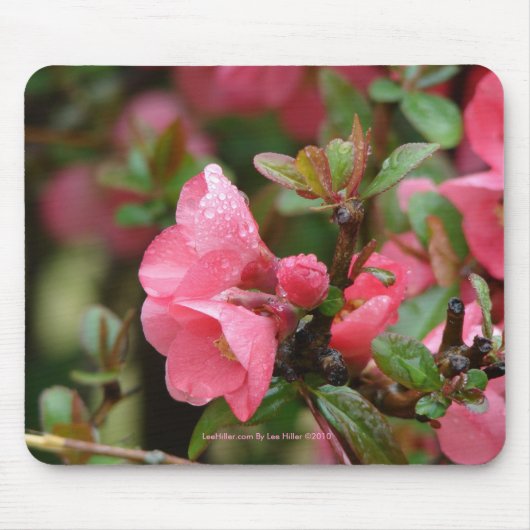 春のピンクの花梨 マウスパッド (正面)